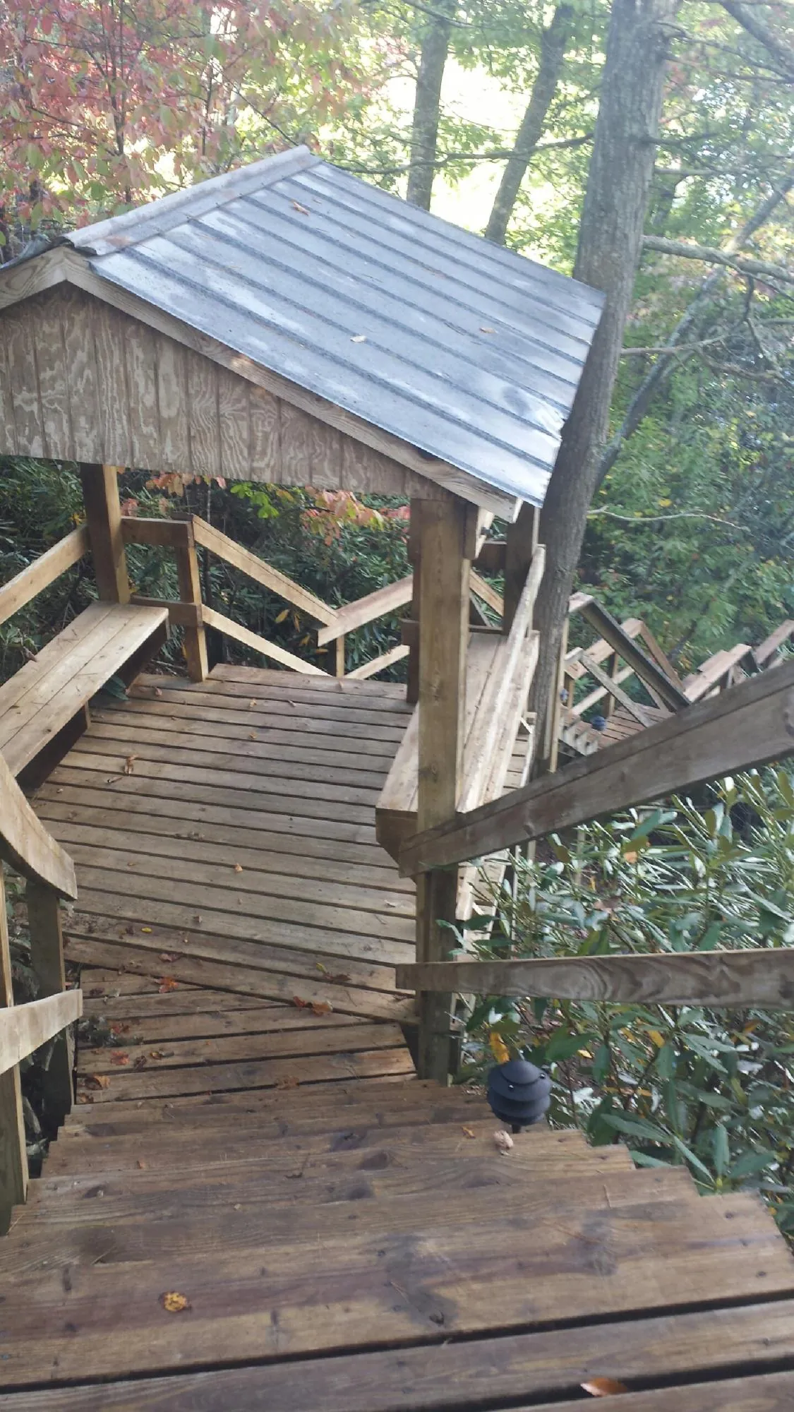Metal roofed shelter over wooden steps on a wooded walkway — Skylight Repair & Installation work by our crew in Rogers